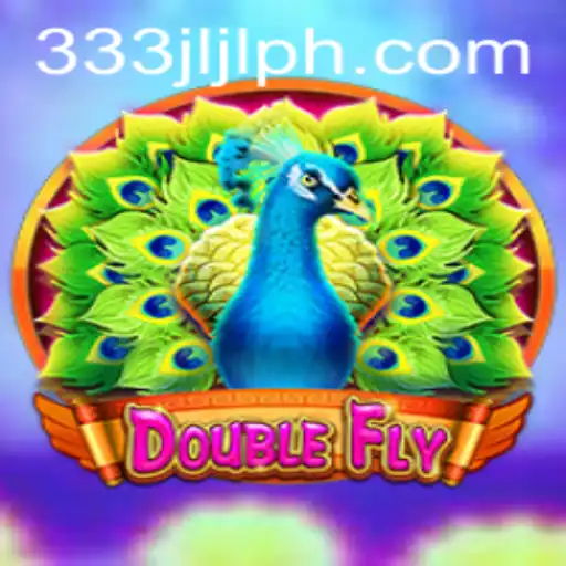 DoubleFly: Navigating the Skies of Innovation